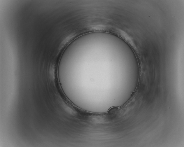 X0000111430106200907201116