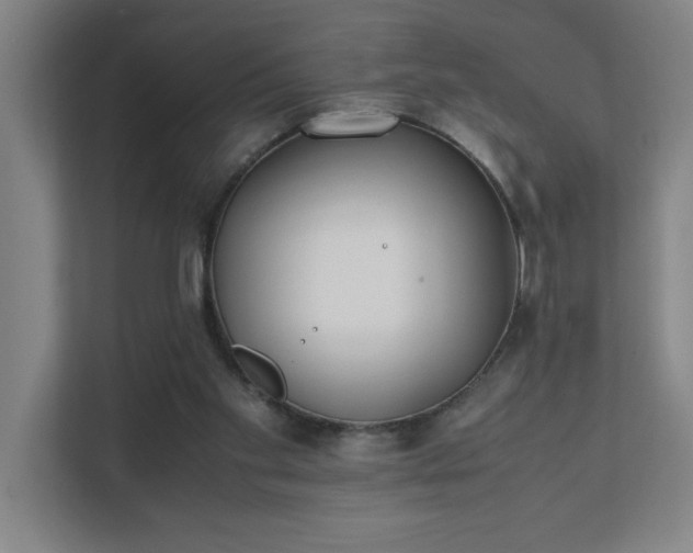 X0000111430109200907201116