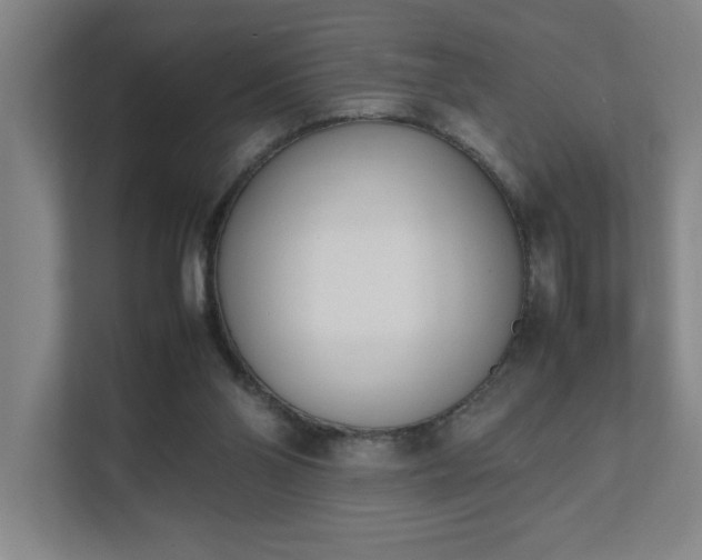 X0000111430110200907201116