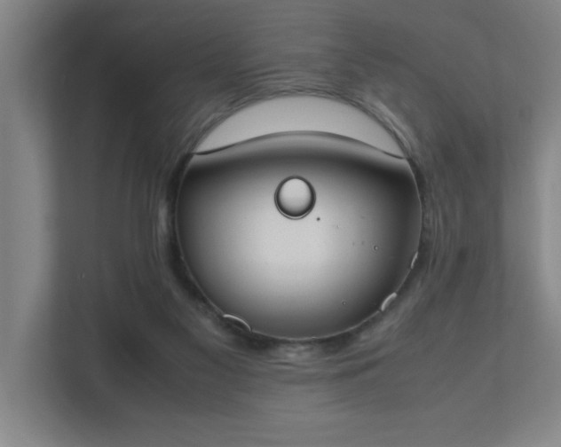 X0000111430117200907201116