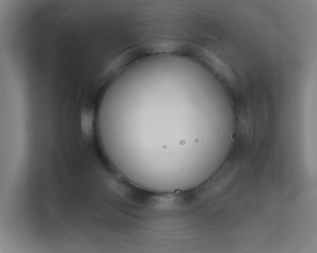 X0000111430118200907201116