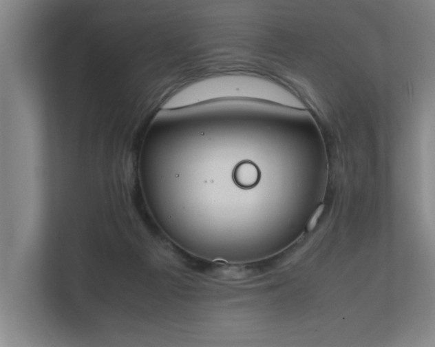 X0000111430121200907201116