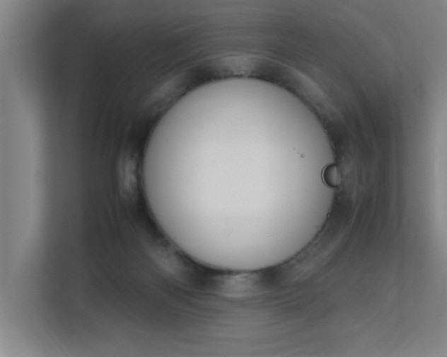 X0000111430122200907201116