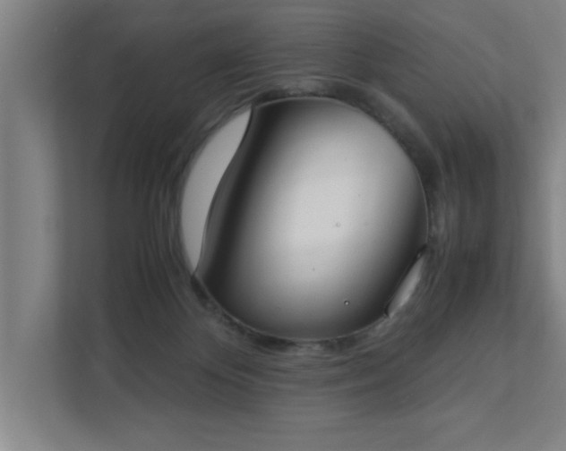 X0000111430124200907201116