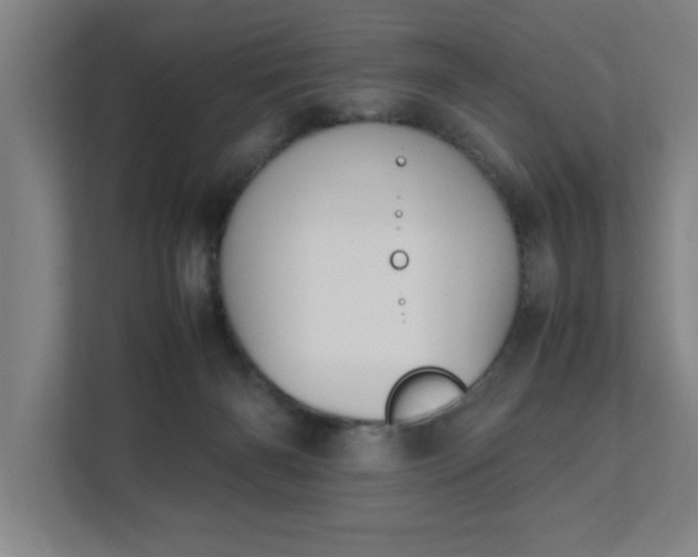 X0000111430126200907201116