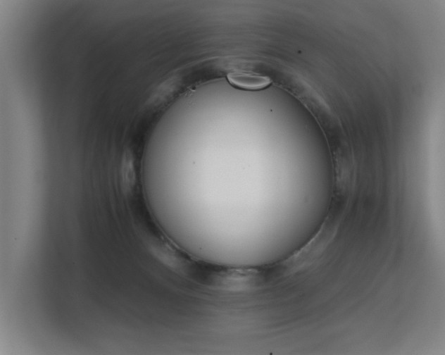 X0000111430128200907201116