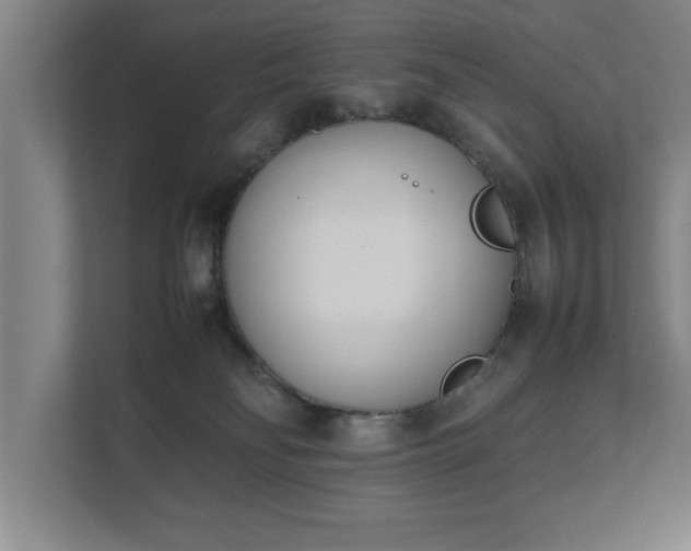 X0000111430134200907201116