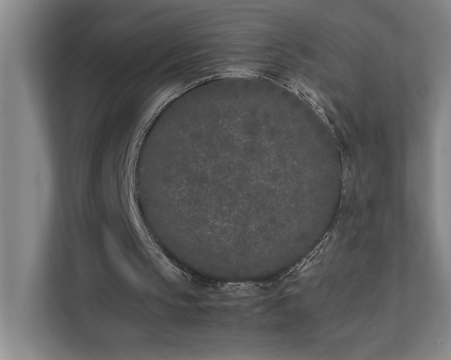 X0000111430145200907201115