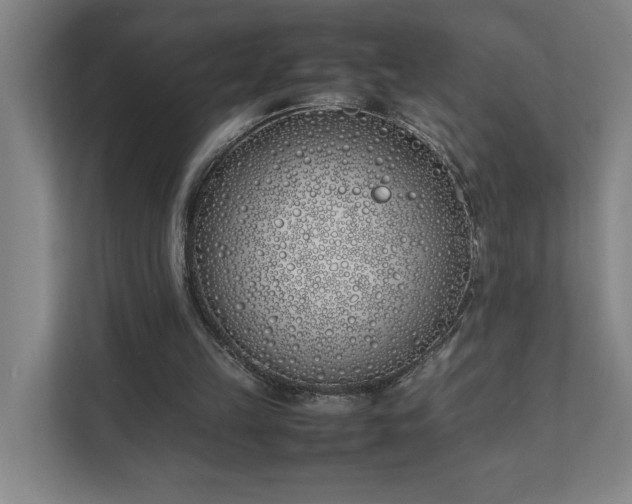 X0000111430149200907201115