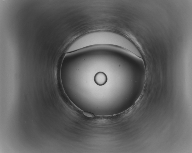 X0000111430154200907201115