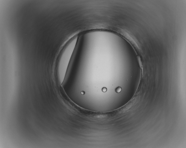 X0000111430156200907201115