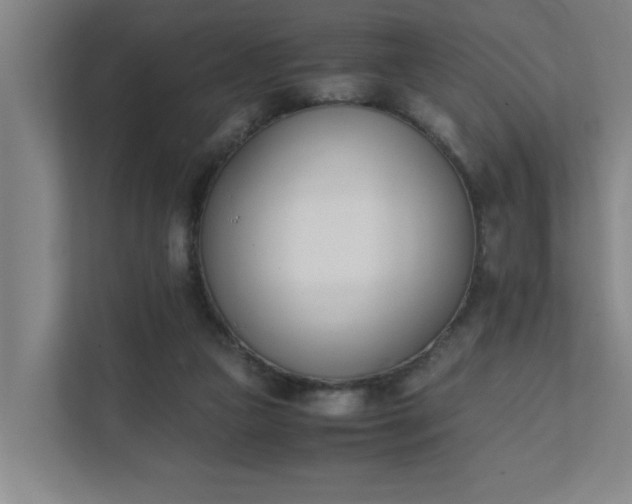 X0000111430161200907201115