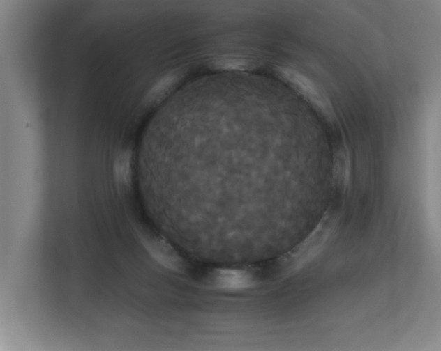 X0000111430167200907201115