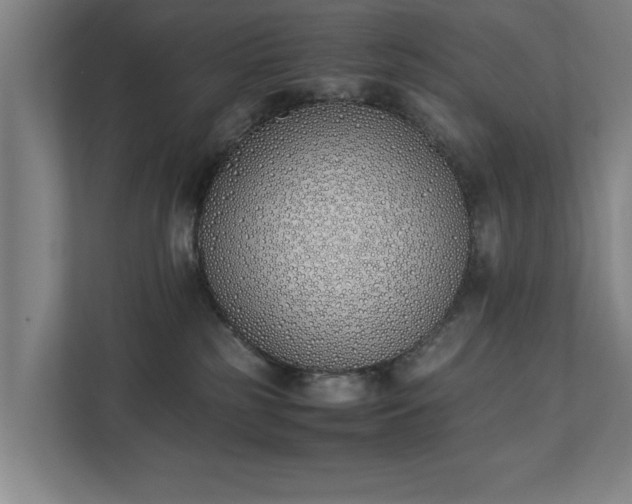 X0000111430185200907201116