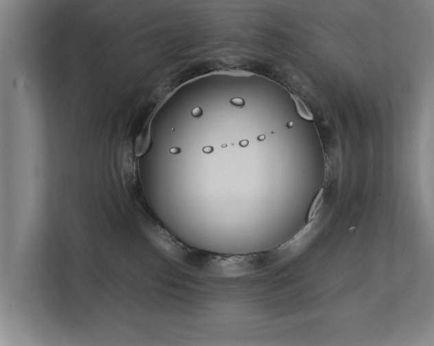 X0000111430186200907201116