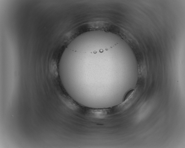 X0000111430187200907201116