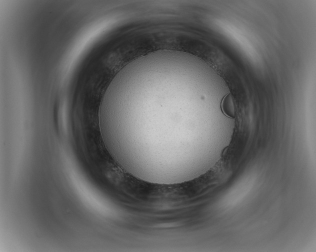 X0000111430189200907201116