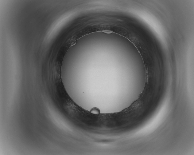 X0000111430190200907201116