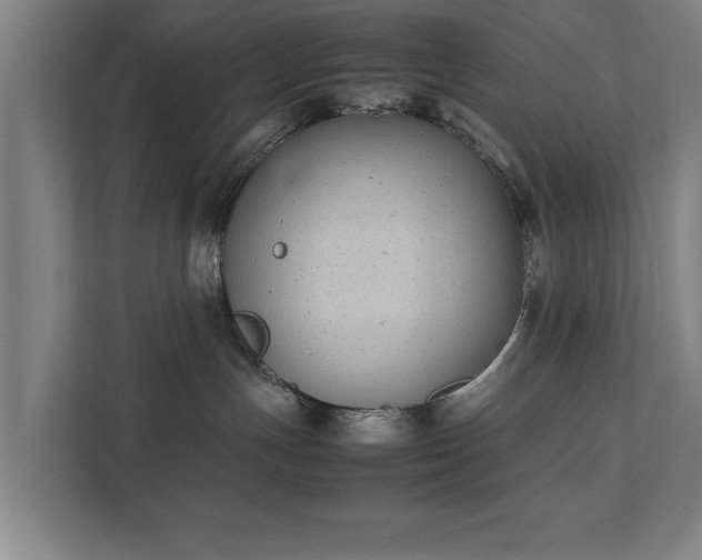 X0000111430191200907201116