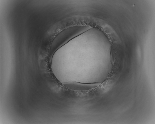 X0000111430192200907201116