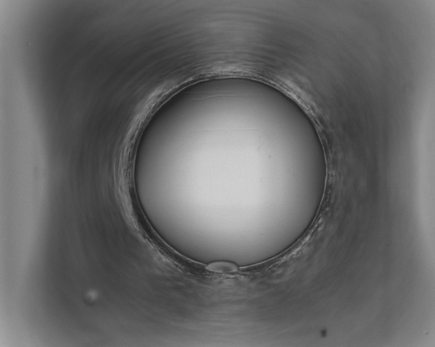 X0000111430193200907201115