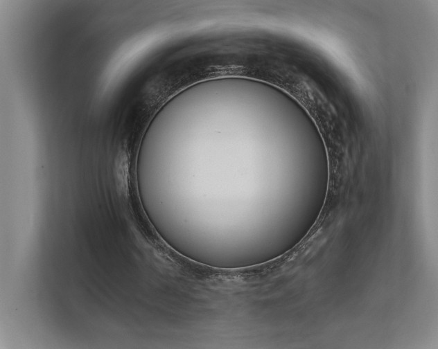 X0000111430194200907201115