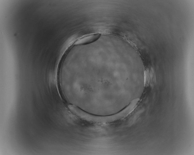 X0000111430195200907201115