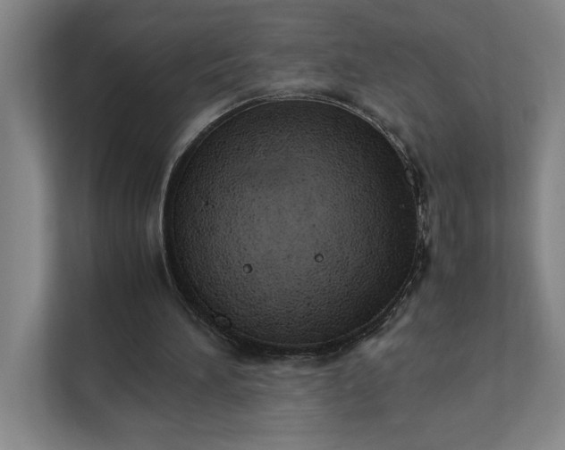 X0000111430196200907201115