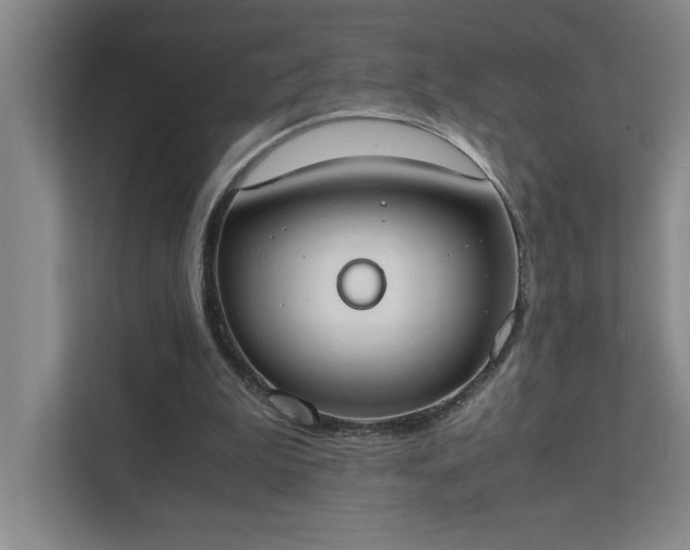 X0000111430199200907201115