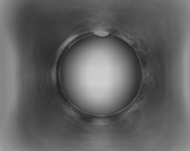 X0000111430200200907201115