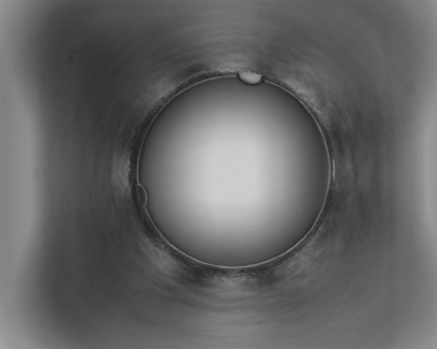 X0000111430201200907201115