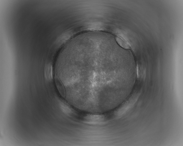 X0000111430205200907201115