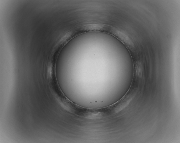 X0000111430206200907201115