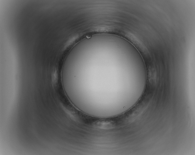 X0000111430208200907201115