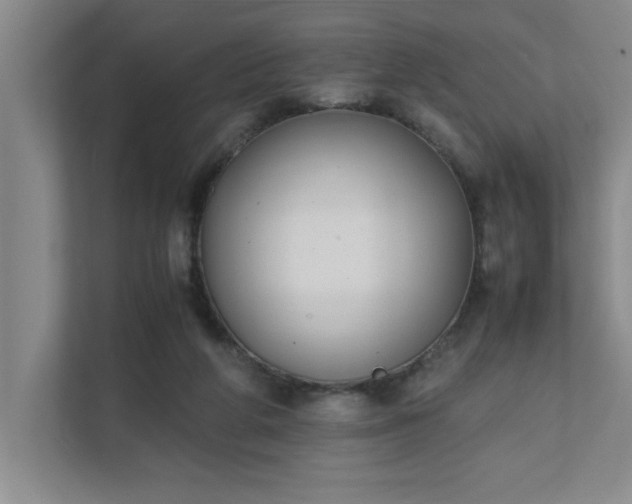 X0000111430210200907201115