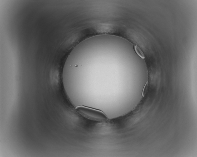 X0000111430211200907201115