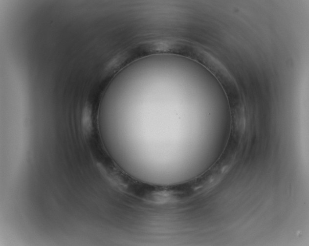 X0000111430216200907201115