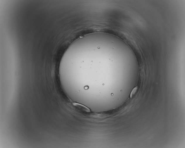 X0000111430221200907201115