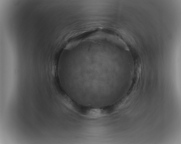 X0000111430227200907201115