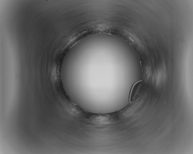 X0000111430236200907201114