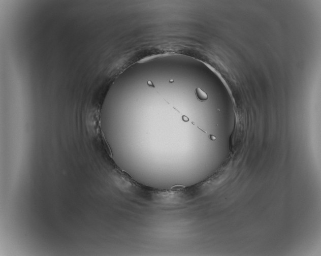 X0000111430237200907201114