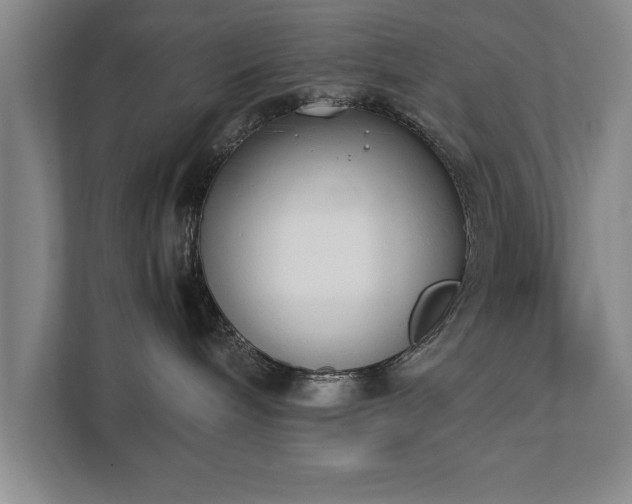 X0000111430240200907201114