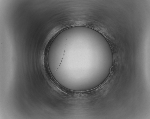 X0000111430242200907201114