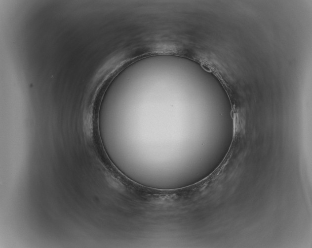 X0000111430243200907201114