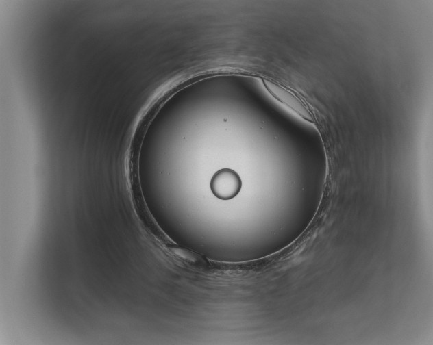 X0000111430244200907201114