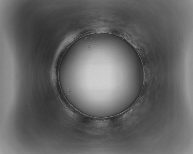 X0000111430245200907201114