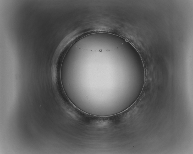 X0000111430247200907201114