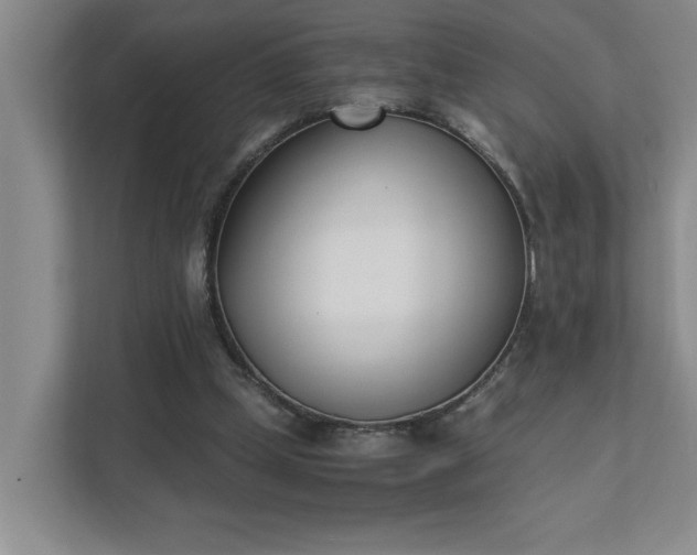 X0000111430249200907201114