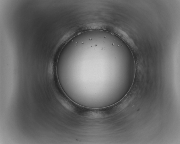 X0000111430250200907201114