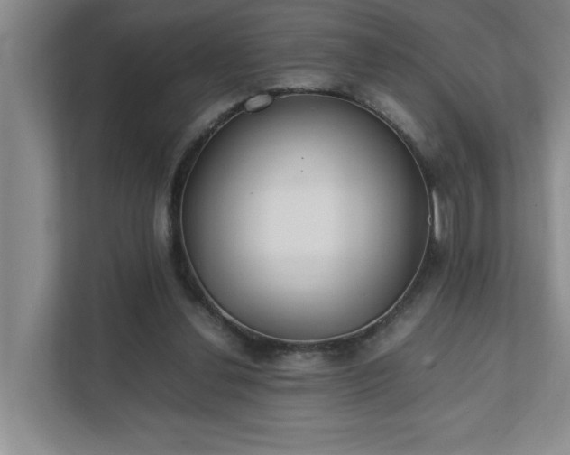 X0000111430252200907201114